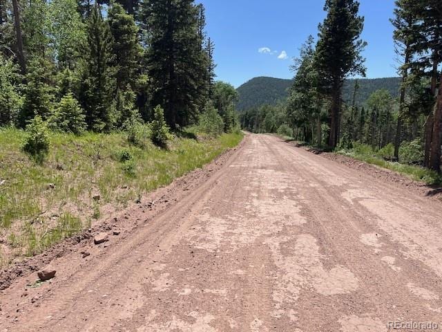 LOT2449 Petito Dr, Fort Garland, CO 81133 - photo 12