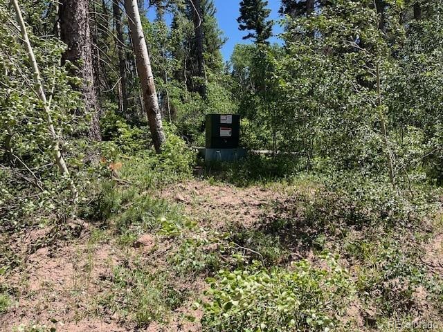 LOT2449 Petito Dr, Fort Garland, CO 81133 - photo 13