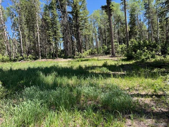 LOT2449 Petito Dr, Fort Garland, CO 81133 - photo 14