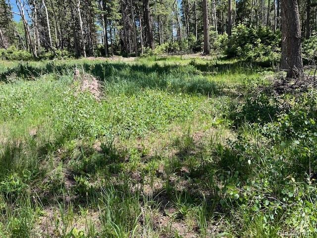 LOT2449 Petito Dr, Fort Garland, CO 81133 - photo 15