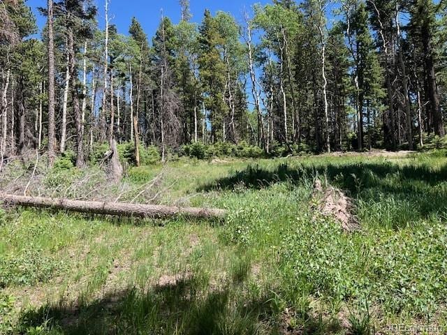 LOT2449 Petito Dr, Fort Garland, CO 81133 - photo 16
