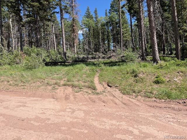 LOT2449 Petito Dr, Fort Garland, CO 81133 - photo 17