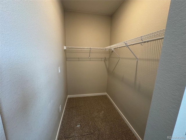 walk in closet featuring carpet floors