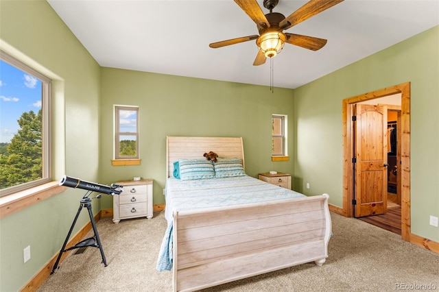 367 Cottonwood Lake Dr, Divide, CO 80814 - photo 25