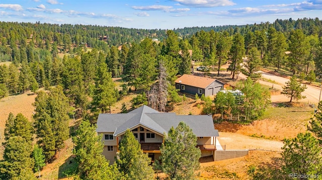 367 Cottonwood Lake Dr, Divide, CO 80814 - photo 34