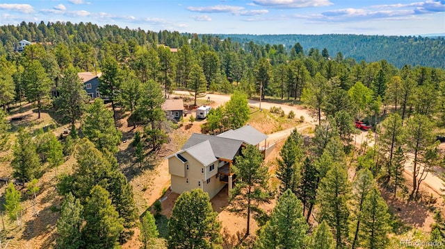 367 Cottonwood Lake Dr, Divide, CO 80814 - photo 37