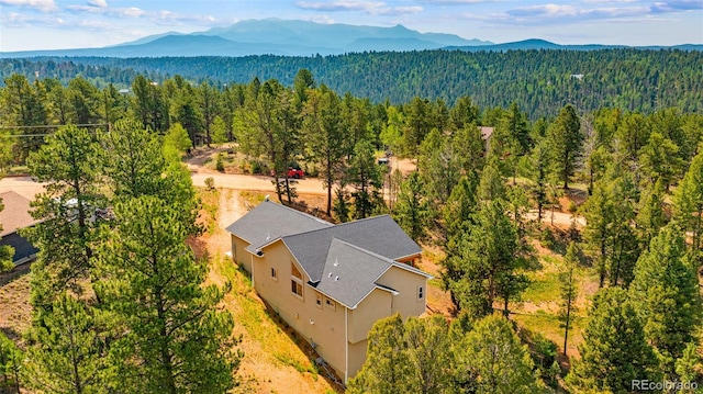 367 Cottonwood Lake Dr, Divide, CO 80814 - photo 38
