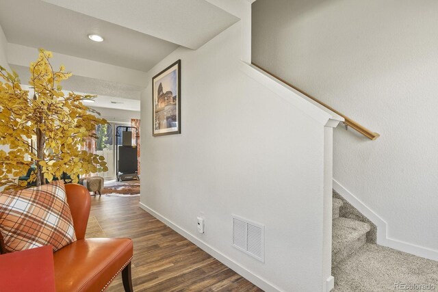 9642 Timberlake Loop, Colorado Springs, CO 80927 - photo 5