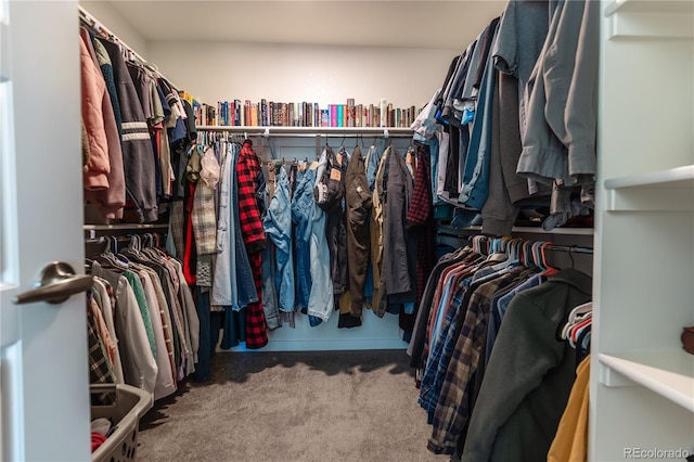 walk in closet featuring carpet floors