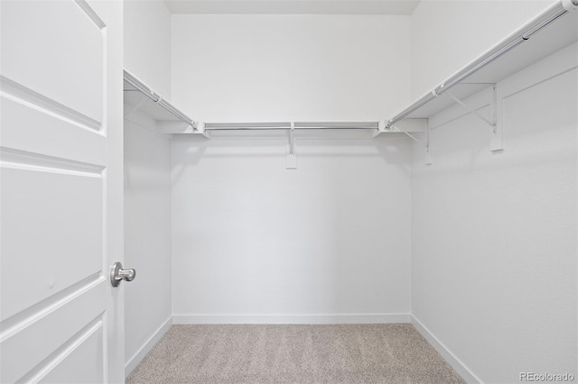 17353 Wilde Ave Unit 308, Parker, CO 80134 - walk in closet featuring light carpet