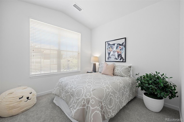17353 Wilde Ave Unit 308, Parker, CO 80134 - carpeted bedroom with lofted ceiling and baseboards