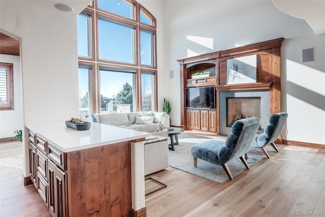 living room featuring a high ceiling, light hardwood / wood-style floors, and a healthy amount of sunlight