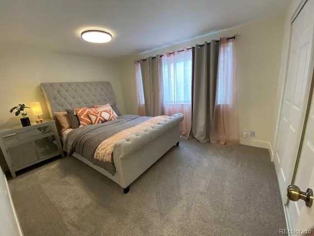 bedroom with a closet and carpet floors