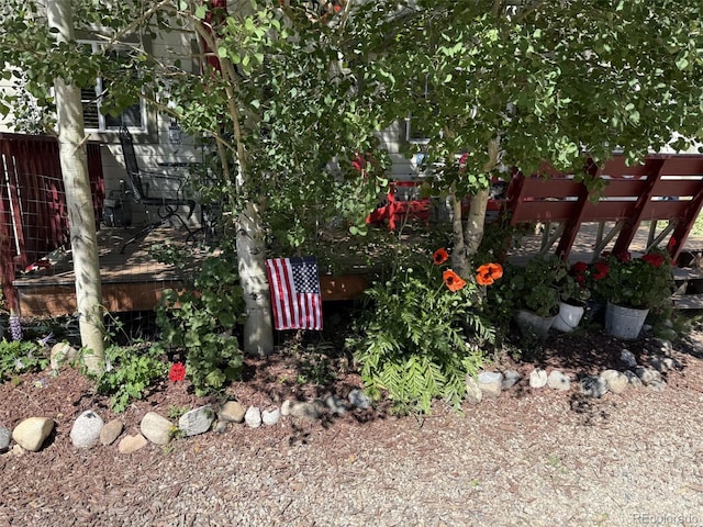 81 Gcr 461, Grand Lake, CO 80447 - view of yard featuring a pergola