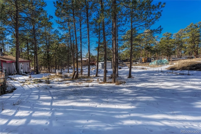 view of snowy yard