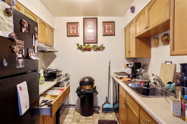 4502 Picturesque, Colorado Springs, CO 80917 - kitchen with black fridge, sink, and a textured ceiling
