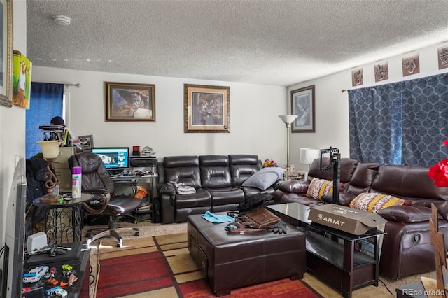 4502 Picturesque, Colorado Springs, CO 80917 - living room with a textured ceiling