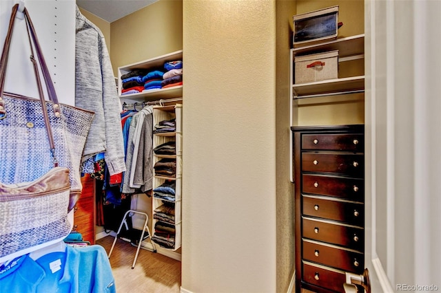 spacious closet with hardwood / wood-style floors