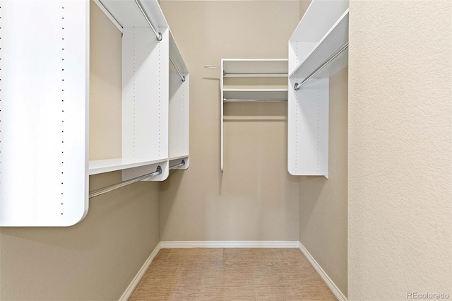 walk in closet featuring carpet floors