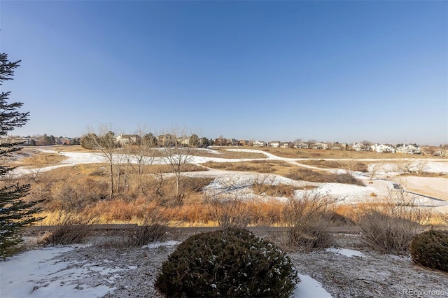 view of yard covered in snow