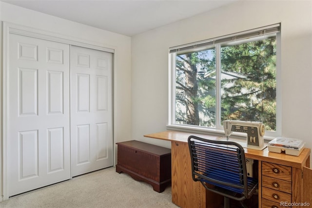 office featuring light colored carpet