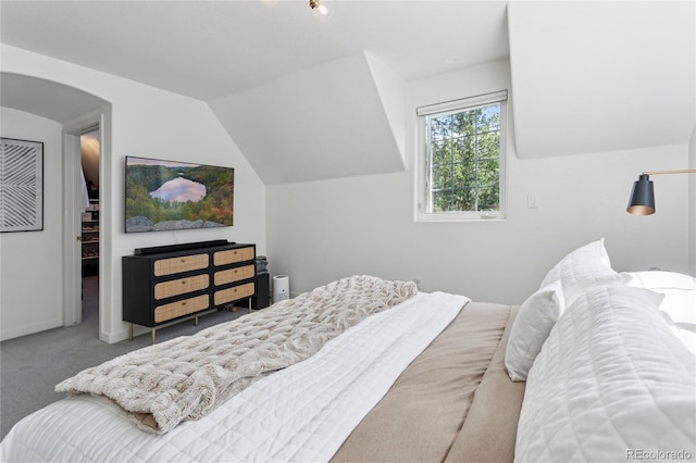 4978 Camel Heights Rd, Evergreen, CO 80439 - bedroom with carpet floors, arched walkways, and vaulted ceiling