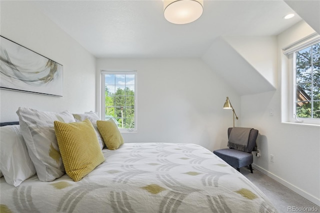 4978 Camel Heights Rd, Evergreen, CO 80439 - carpeted bedroom featuring multiple windows