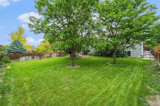 2726 Aylesbury Way, Johnstown, CO 80534 - view of yard