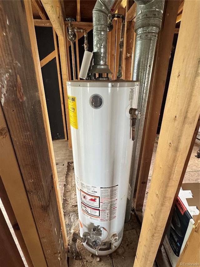 1105 S Raleigh St, Denver, CO 80219 - utility room with gas water heater