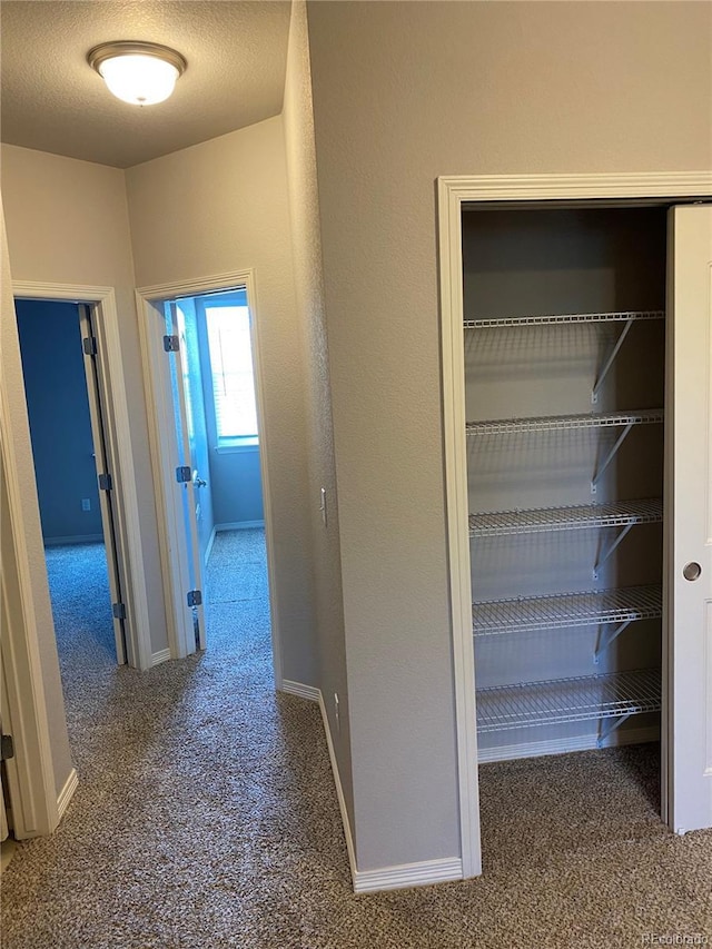 1694 Grand Ave Unit 3, Windsor, CO 80550 - photo 11