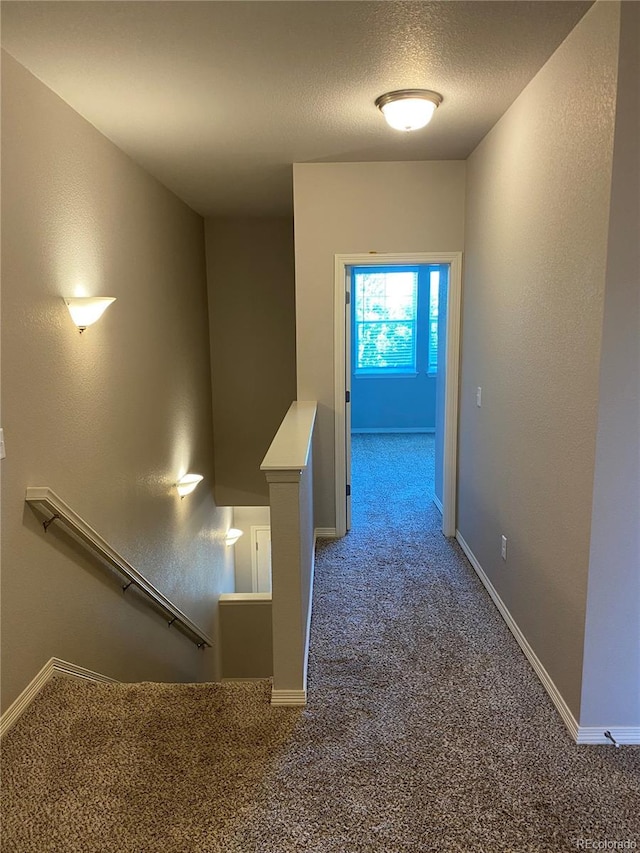 1694 Grand Ave Unit 3, Windsor, CO 80550 - photo 13
