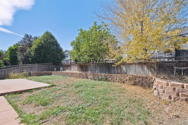 view of yard featuring a patio area