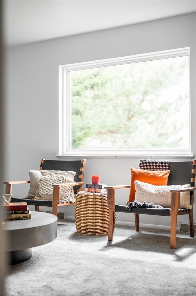 sitting room with carpet flooring