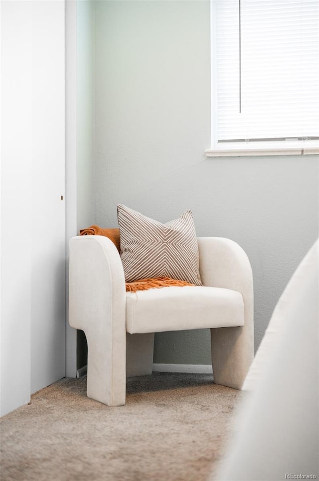 living area with carpet floors