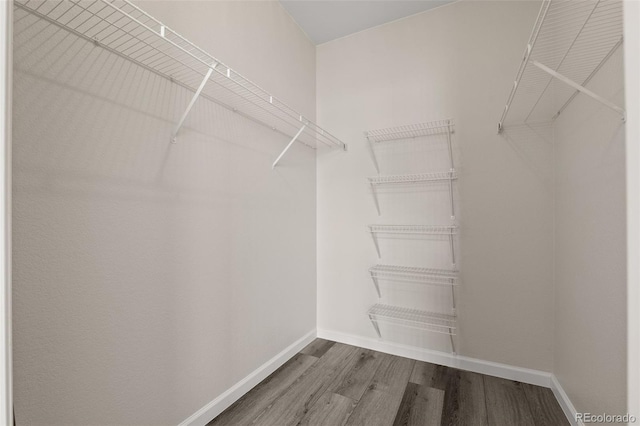 7440 S Blackhawk St Unit 2-108, Englewood, CO 80112 - walk in closet featuring wood finished floors