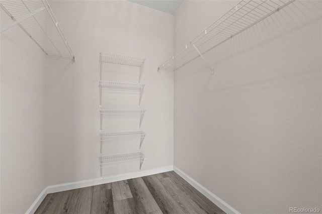 7440 S Blackhawk St Unit 2-108, Englewood, CO 80112 - walk in closet with dark wood-type flooring