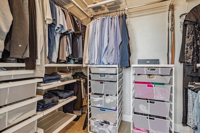 view of walk in closet