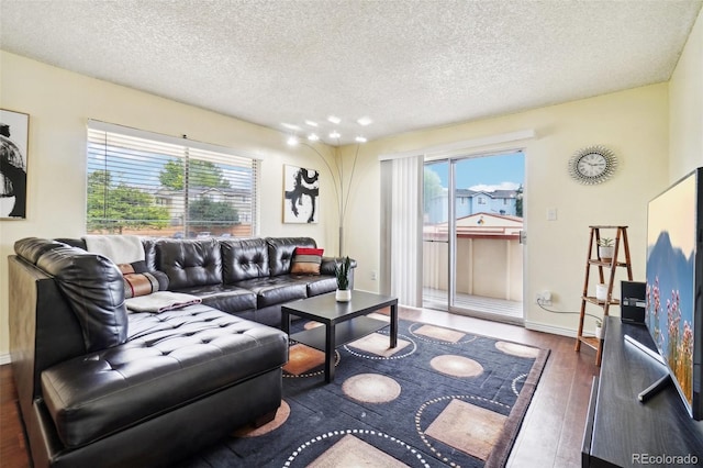 living room with dark hardwood / wood-style floors and a textured ceiling