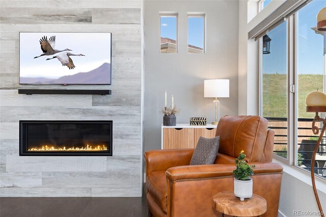 2999 Merry Rest Way, Castle Rock, CO 80109 - living room with a fireplace and wood finished floors