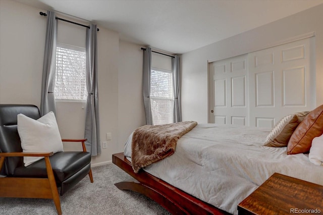 bedroom with a closet and carpet floors