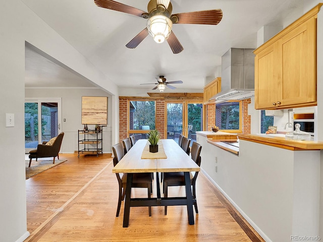 dining area with light hardwood / wood-style floors and ceiling fan