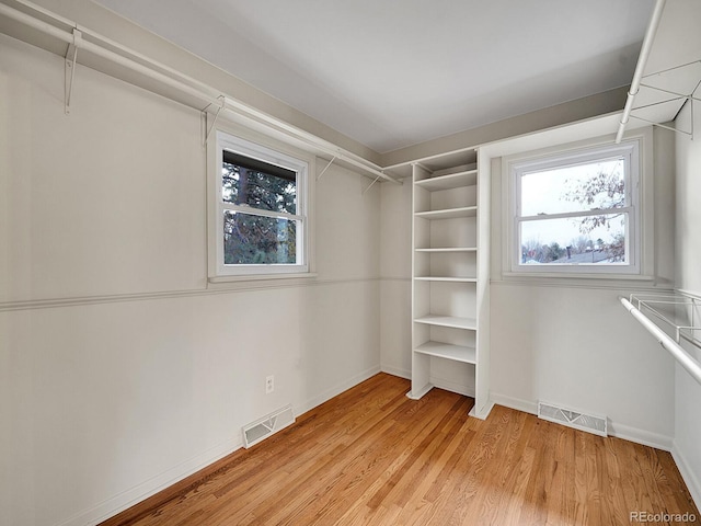 walk in closet featuring light hardwood / wood-style floors