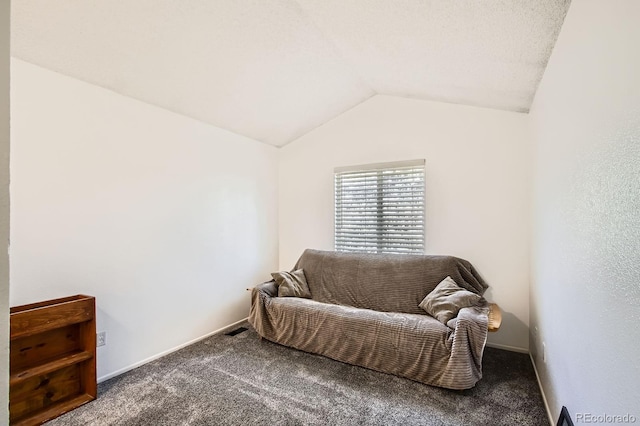 12935 W 64th Dr Unit D, Arvada, CO 80004 - living area featuring carpet flooring and lofted ceiling