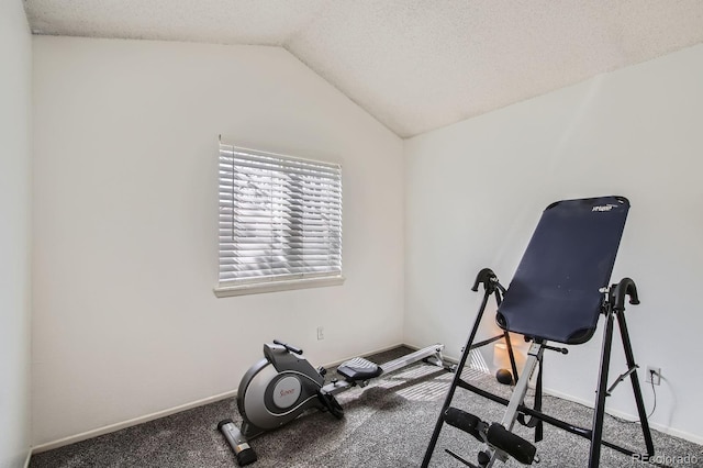 12935 W 64th Dr Unit D, Arvada, CO 80004 - exercise room featuring lofted ceiling and baseboards