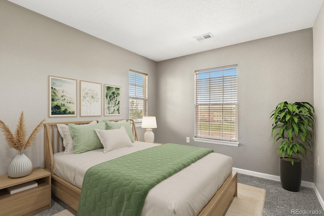 1484 Nemrick Pl, Castle Rock, CO 80109 - photo 24
