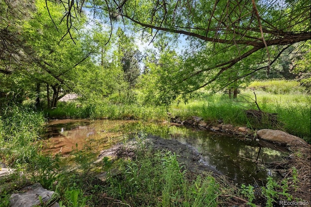 5211 Parmalee Gulch Rd, Indian Hills, CO 80454 - view of nature
