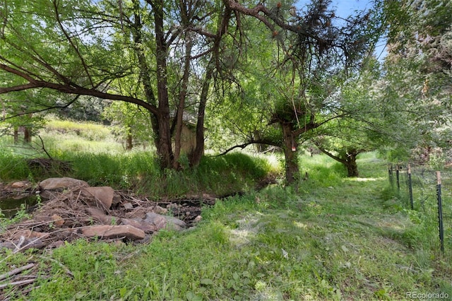 5211 Parmalee Gulch Rd, Indian Hills, CO 80454 - view of local wilderness