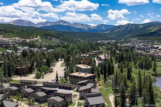 471 Hi Country Dr Unit 36, Winter Park, CO 80482 - photo 22