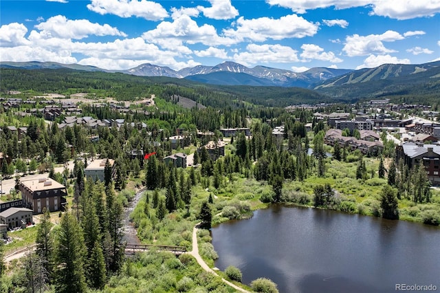471 Hi Country Dr Unit 36, Winter Park, CO 80482 - photo 23