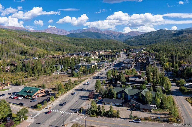 471 Hi Country Dr Unit 36, Winter Park, CO 80482 - photo 38